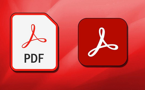 Adobe Acrobat Pro Windows v24.4.20220 中文特别版